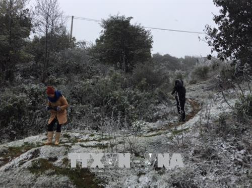 Du khách đã có mặt tại khu vực Thác Bạc và đỉnh đèo Ô Quy Hồ để xem tuyết rơi. Ảnh: Hồng Ninh-TTXVN Du khách đã có mặt tại khu vực Thác Bạc và đỉnh đèo Ô Quy Hồ để xem tuyết rơi. Ảnh: Hồng Ninh-TTXVN