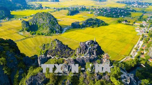 Cánh đồng lúa chín vàng nhìn từ đỉnh Hang Múa. Ảnh: Minh Đức - TTXVN Cánh đồng lúa chín vàng nhìn từ đỉnh Hang Múa. Ảnh: Minh Đức - TTXVN