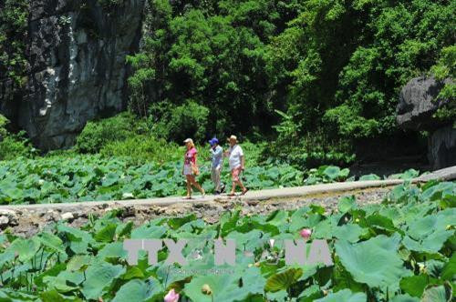 Du khách nước ngoài chiêm ngắm vẻ đẹp hoang sơ, tự nhiên trong mùa sen nở. Ảnh: Minh Đức - TTXVN Du khách nước ngoài chiêm ngắm vẻ đẹp hoang sơ, tự nhiên trong mùa sen nở. Ảnh: Minh Đức - TTXVN
