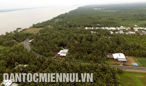 Toàn cảnh vùng nguyên liệu dừa bờ Nam sông Cổ Chiên thuộc địa phận huyện Càng Long (Trà Vinh), phía đối diện là vùng chuyên canh dừa thuộc huyện Mỏ Cày Nam (Bến Tre). Ảnh: Phúc Thanh - DTMN