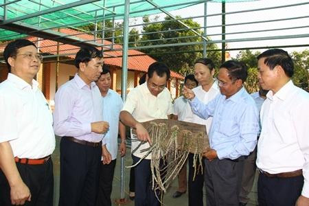 Dự án sản xuất lan rừng kỳ vọng cùng lúc đạt được mục tiêu về môi trường sinh thái cũng như kinh tế xã hội. Ảnh: nongnghiep.vn Dự án sản xuất lan rừng kỳ vọng cùng lúc đạt được mục tiêu về môi trường sinh thái cũng như kinh tế xã hội. Ảnh: nongnghiep.vn