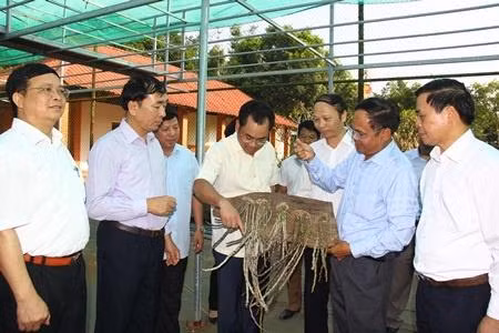 Dự án sản xuất lan rừng kỳ vọng cùng lúc đạt được mục tiêu về môi trường sinh thái cũng như kinh tế xã hội. Ảnh: nongnghiep.vn