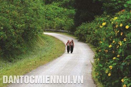 Đường vào Sín Thầu