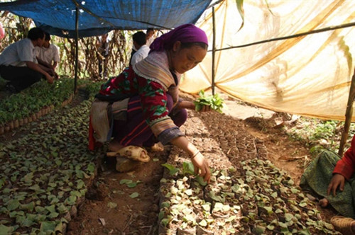 Đề án chính sách đặc thù hỗ trợ phát triển vùng dân tộc thiểu số và miền núi giai đoạn 2016 - 2020 ảnh 2