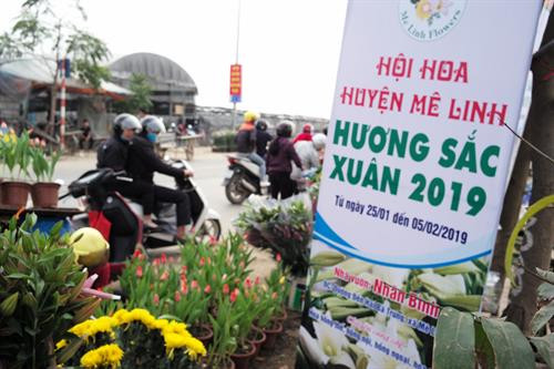 Hàng năm, Mê Linh cung cấp gần 300 triệu cành hoa, gồm các loại hoa: hồng, cúc, loa kèn, lyly... cho người tiêu dùng. Chợ hoa Mê Linh được nhiều người biết đến là nơi cung cấp hoa chủ yếu cho Hà Nội và một số tỉnh phía Bắc.