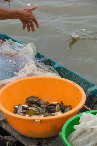 Sản vật mùa nước nổi. Ảnh: Duy Khương - TTXVN