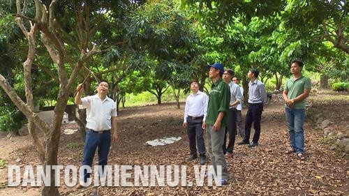 Cán bộ dân vận hướng dẫn đồng bào thực hiện mô hình trồng cây ăn quả trên vùng đất hoang hóa. Ảnh: Hữu Quyết Cán bộ dân vận hướng dẫn đồng bào thực hiện mô hình trồng cây ăn quả trên vùng đất hoang hóa. Ảnh: Hữu Quyết