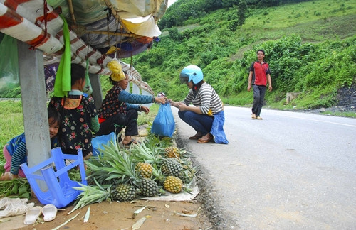 Người dân Mường Chà dựng lán bán dứa dọc Quốc lộ 12. Người dân Mường Chà dựng lán bán dứa dọc Quốc lộ 12.