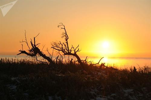 Tại đây có 107 loại thực vật và 41 trong số này thuộc loại hiếm và cũng có nguy cơ biến mất.