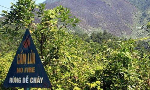 Cắm hệ thống bảng cấm lửa tại các khu vực rừng trọng yếu. Ảnh: khanhvinh.khanhhoa.gov.vn Cắm hệ thống bảng cấm lửa tại các khu vực rừng trọng yếu. Ảnh: khanhvinh.khanhhoa.gov.vn