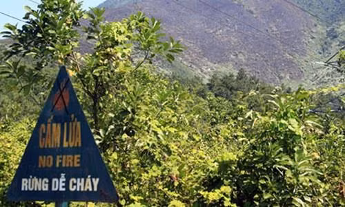 Cắm hệ thống bảng cấm lửa tại các khu vực rừng trọng yếu. Ảnh: khanhvinh.khanhhoa.gov.vn