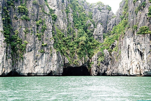 Đảo chim có môi trường xanh, sạch, khí hậu trong lành