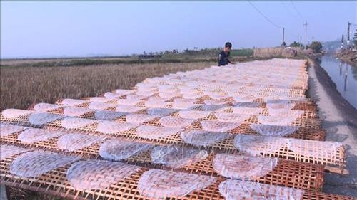 Bánh làm ra bắt buộc phải được phơi nắng tầm 30 phút đến 1 giờ, có ánh nắng, bánh sẽ nhanh ráo, khô và thơm. Ảnh: Khiếu Tư - TTXVN