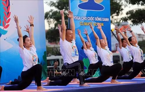 Đồng diễn Yoga nhân Ngày Quốc tế Yoga tại Đà Nẵng. Ảnh: Trần Lê Lâm - TTXVN