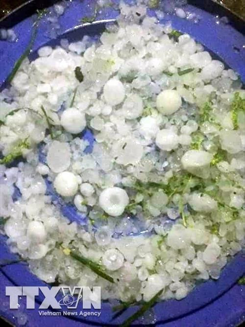 Hình ảnh hạt mưa đá xảy ra tại Bắc Kạn. Ảnh: Bùi Đức Hiếu-TTXVN Hình ảnh hạt mưa đá xảy ra tại Bắc Kạn. Ảnh: Bùi Đức Hiếu-TTXVN