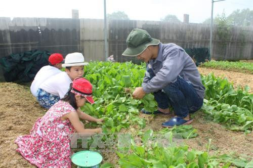 Trẻ em tham quan và trải nghiệm thu hoạch rau sạch tại trang trại Sunny Farm - mô hình trồng rau theo hướng hữu cơ tại phường 12, thành phố Vũng Tàu. Ảnh: Hoàng Nhị - TTXVN Trẻ em tham quan và trải nghiệm thu hoạch rau sạch tại trang trại Sunny Farm - mô hình trồng rau theo hướng hữu cơ tại phường 12, thành phố Vũng Tàu. Ảnh: Hoàng Nhị - TTXVN