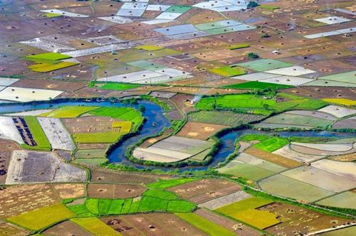 Thung lũng Bắc Sơn nhuộm vàng mùa lúa chín ảnh 6 Thung lũng Bắc Sơn nhuộm vàng mùa lúa chín ảnh 6