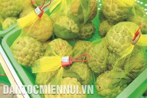 Một số sản phẩm nông nghiệp sạch của Hà Nội. Ảnh: Tuấn Kiệt