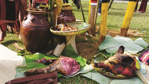 Lễ vật thường là rượu, thịt lợn, thịt gà, thịt trâu… tùy theo điều kiện kinh tế của gia đình người con Lễ vật thường là rượu, thịt lợn, thịt gà, thịt trâu… tùy theo điều kiện kinh tế của gia đình người con