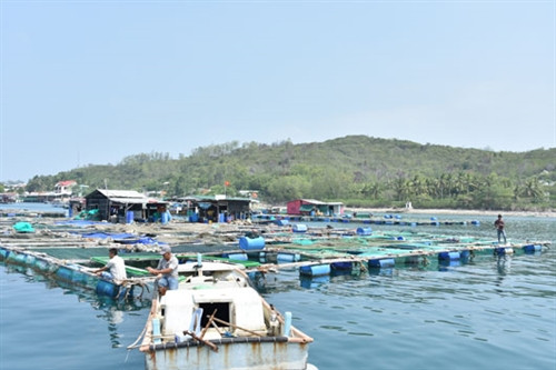 Làng chài trên Bãi Tranh Làng chài trên Bãi Tranh