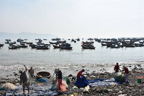 Ngư dân thu dọn ngư cụ sau chuyến ra khơi Ngư dân thu dọn ngư cụ sau chuyến ra khơi