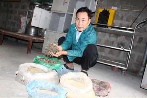 Ông Tuấn giới thiệu một số thảo dược cho lợn ăn. Ảnh : nongnghiep.vn Ông Tuấn giới thiệu một số thảo dược cho lợn ăn. Ảnh : nongnghiep.vn