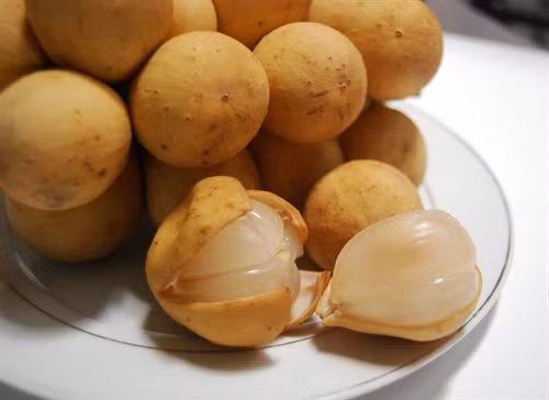 Quả bòn bon (boòng boong) - đặc sản trái cây Quảng Nam ảnh 1