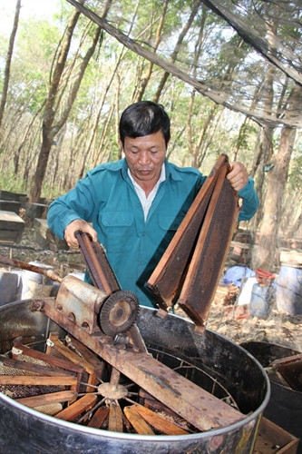 Mỗi lượt, người ta cho vào thùng 18 - 20 cầu để quay.