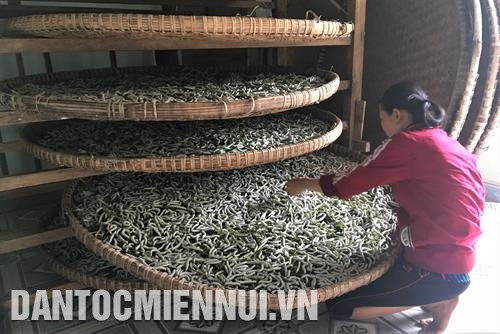 Nhà nuôi tằm phải đảm bảo nhiệt độ thích hợp, có cửa lưới ở cửa sổ và cửa ra vào để không khí lưu thông, đồng thời tránh côn trùng bay vào. Ảnh: Khoa Trương Nhà nuôi tằm phải đảm bảo nhiệt độ thích hợp, có cửa lưới ở cửa sổ và cửa ra vào để không khí lưu thông, đồng thời tránh côn trùng bay vào. Ảnh: Khoa Trương