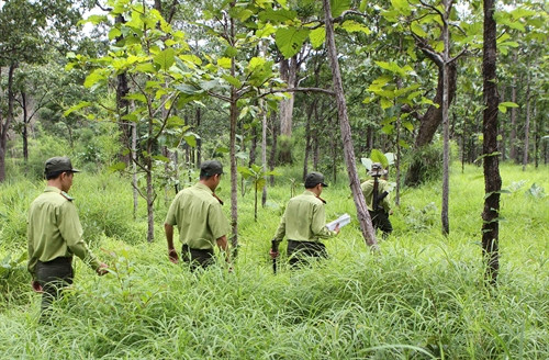 Lực lượng kiểm lâm đi kiểm tra, tháo dỡ bẫy thú.