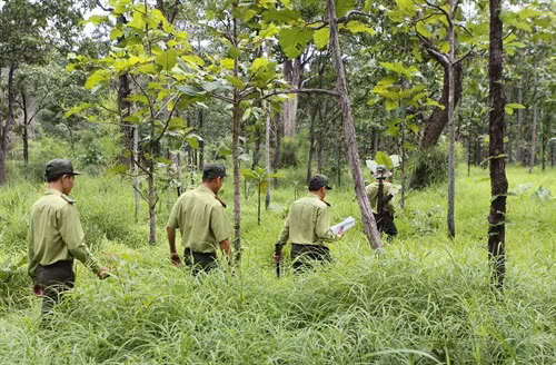 Lực lượng kiểm lâm đi kiểm tra, tháo dỡ bẫy thú. Lực lượng kiểm lâm đi kiểm tra, tháo dỡ bẫy thú.