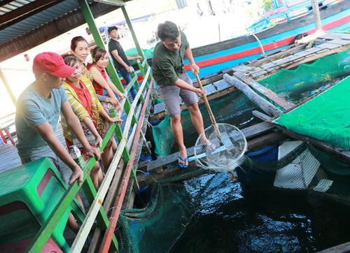 Đặc sản tôm hùm đã thu hút thực khách trên đảo Ba Bình. Ảnh: Dương Chí Tưởng-TTXVN Đặc sản tôm hùm đã thu hút thực khách trên đảo Ba Bình. Ảnh: Dương Chí Tưởng-TTXVN