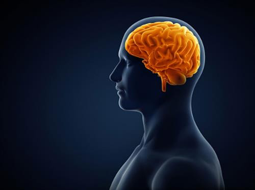 Khoa học đã chứng minh hiệu quả của một số loại nước ép trong việc cải thiện chức năng não và trí nhớ