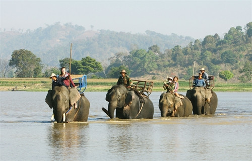 Du khách cưỡi voi đi trên hồ Lắk