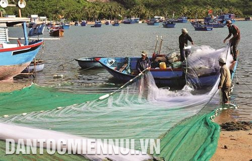 Sinh hoạt đời thường của những ngư dân làng chài trên vịnh Vĩnh Hy