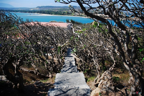 Tuyệt quá Kê Gà! ảnh 5 Tuyệt quá Kê Gà! ảnh 5