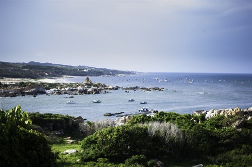 Tuyệt quá Kê Gà! ảnh 6 Tuyệt quá Kê Gà! ảnh 6