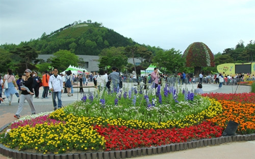 Lễ hội bướm Hampyeong thu hút du khách nhí ảnh 1