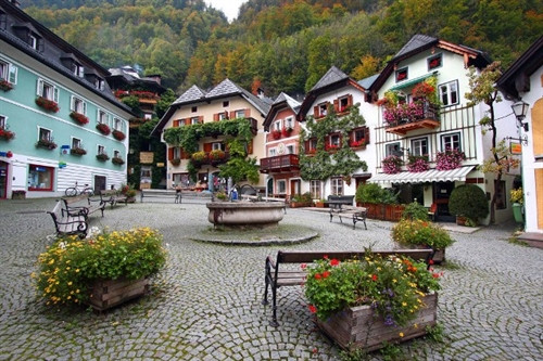 Những ngôi nhà gỗ với dàn hoa leo núi quyến rũ.