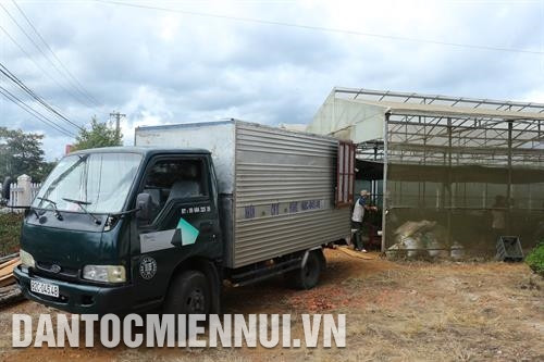 Huyện có cơ chế khuyến khích các doanh nghiệp trên địa bàn đầu tư, mở rộng quy mô sản xuất, để cây dược liệu thực sự chuyển từ tiềm năng thành lợi thế ở Kon Plông. Ảnh: Hoàng Hà