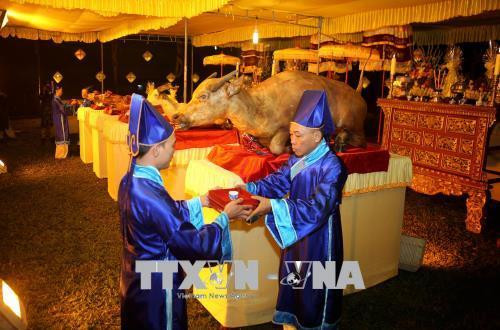 Nghi thức lễ cúng trong Lễ tế Xã Tắc. Ảnh: Hồ Cầu - TTXVN Nghi thức lễ cúng trong Lễ tế Xã Tắc. Ảnh: Hồ Cầu - TTXVN