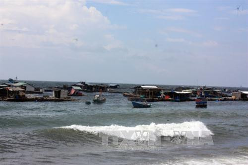 Nuôi cá lồng bè tại xã đảo Hòn Nghệ, huyện Kiên Lương, tỉnh Kiên Giang. Ảnh: Lê Sen - TTXVN Nuôi cá lồng bè tại xã đảo Hòn Nghệ, huyện Kiên Lương, tỉnh Kiên Giang. Ảnh: Lê Sen - TTXVN