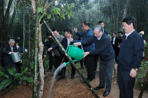 Đồng chí Trần Quốc Vượng cùng đoàn công tác tới thăm và trồng cây lưu niệm tại Khu di tích Nà Pậu, xã Lương Bằng, huyện Chợ Đồn - nơi Bác Hồ ở và làm việc vào đầu năm 1951. Ảnh: Vũ Hoàng Giang - TTXVN Đồng chí Trần Quốc Vượng cùng đoàn công tác tới thăm và trồng cây lưu niệm tại Khu di tích Nà Pậu, xã Lương Bằng, huyện Chợ Đồn - nơi Bác Hồ ở và làm việc vào đầu năm 1951. Ảnh: Vũ Hoàng Giang - TTXVN