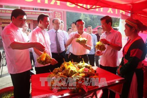 Bộ trưởng Bộ Khoa học và Công nghệ Chu Ngọc Anh và các đại biểu thăm quan sản phẩm hồng không hạt Quản Bạ. Ảnh: Minh Tâm - TTXVN Bộ trưởng Bộ Khoa học và Công nghệ Chu Ngọc Anh và các đại biểu thăm quan sản phẩm hồng không hạt Quản Bạ. Ảnh: Minh Tâm - TTXVN