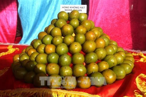 Sản phẩm hồng không hạt Quản Bạ. Ảnh: Minh Tâm-TTXVN Sản phẩm hồng không hạt Quản Bạ. Ảnh: Minh Tâm-TTXVN