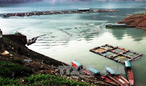 Hoàn thiện chính sách thu hút đầu tư vào nông nghiệp ảnh 4