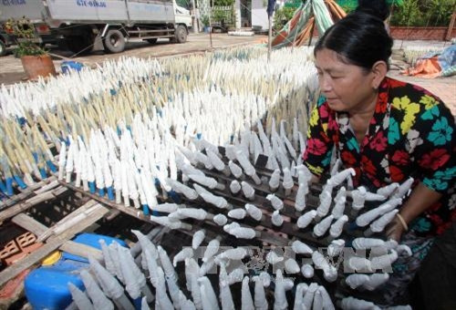 Hoàn thiện chính sách thu hút đầu tư vào nông nghiệp ảnh 1