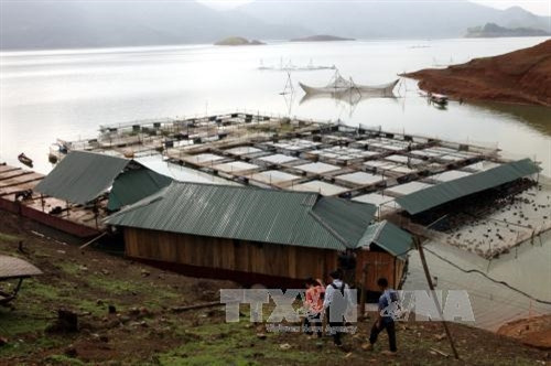 Hoàn thiện chính sách thu hút đầu tư vào nông nghiệp ảnh 5