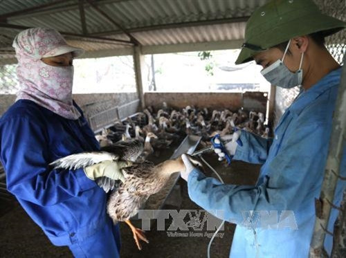 Hoàn thiện chính sách thu hút đầu tư vào nông nghiệp ảnh 2