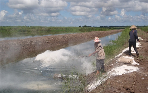 Dùng vôi bột xử lý nước.